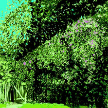 art, impressionism, lilac in bloom