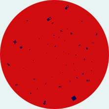 art, postmodern art, round abstraction